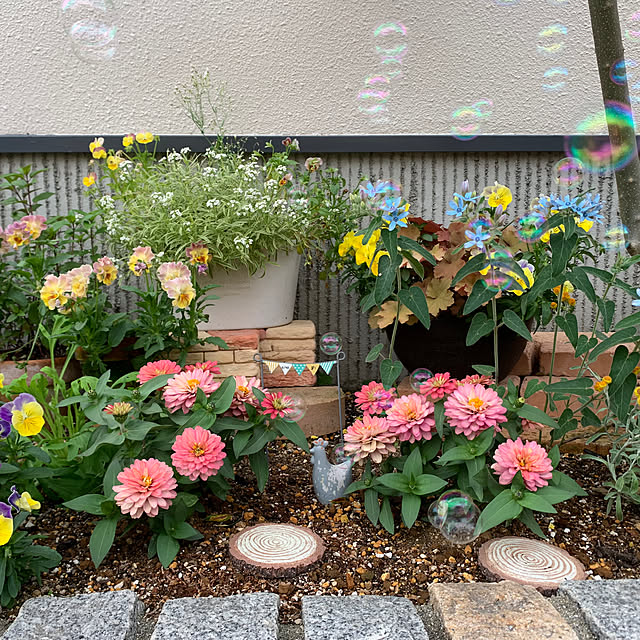 AINIさんの部屋