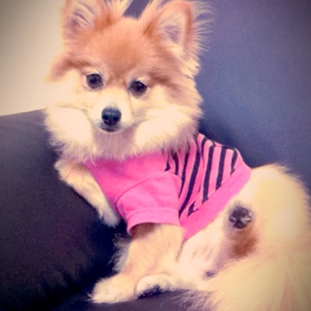 mini-plusさんの実例写真