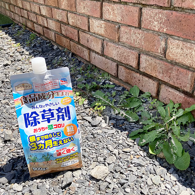 yocchanさんの実例写真