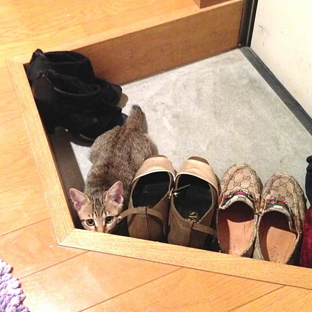 mayruさんの実例写真