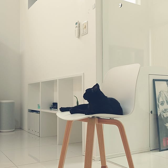 Blackcatさんの実例写真
