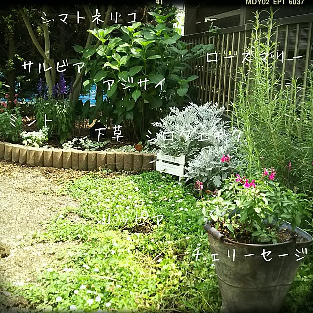 millsukeさんの実例写真