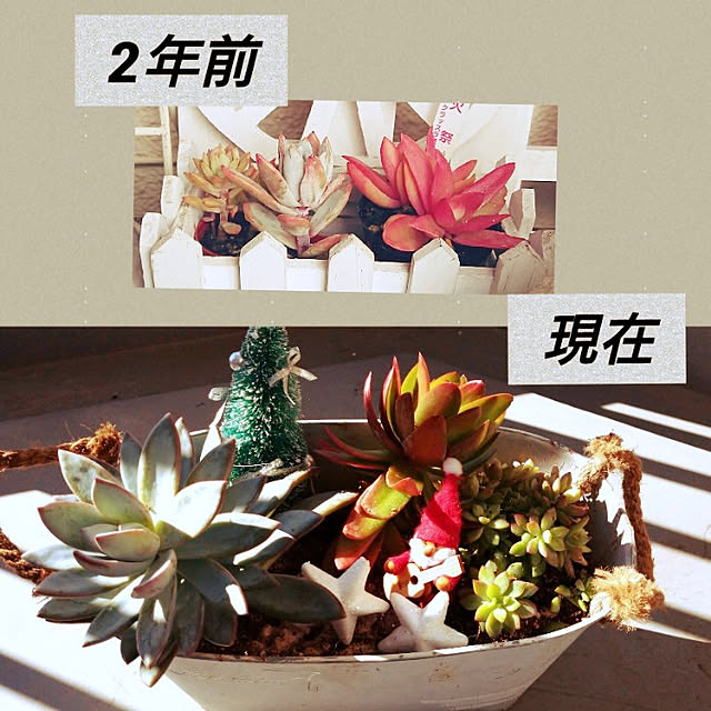 yokomokoさんの実例写真