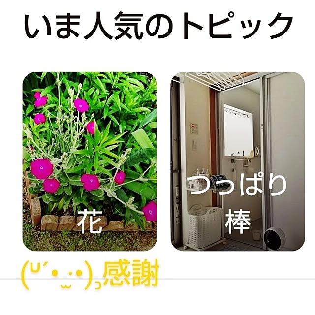 katさんの部屋
