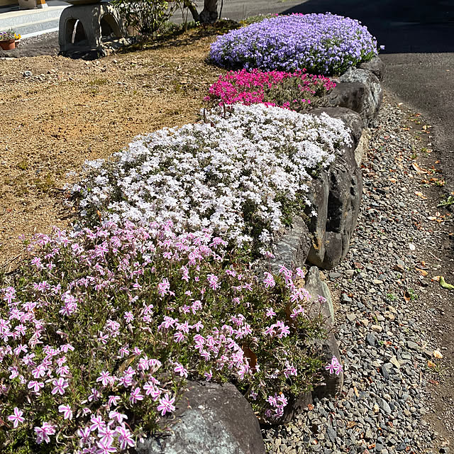 naotoさんの実例写真