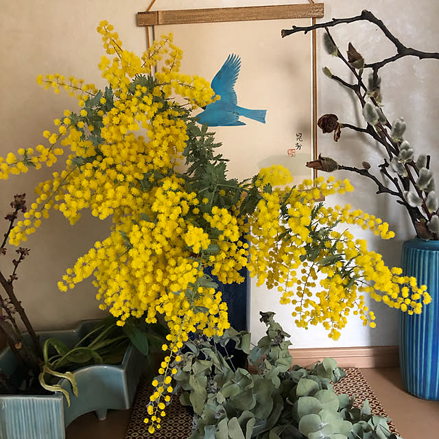 ミモザ/季節の花/観葉植物/部屋全体のインテリア実例 - 2022-03-13 08:44:44