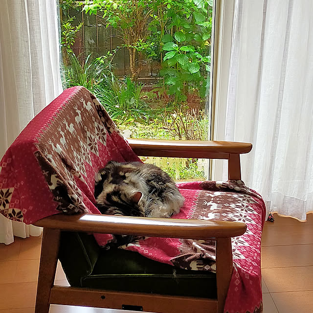 mokoさんの実例写真