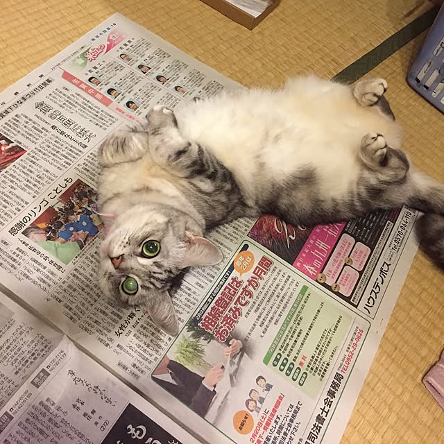 LEMONさんの実例写真