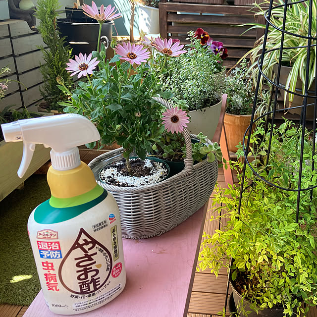 marukoさんの実例写真