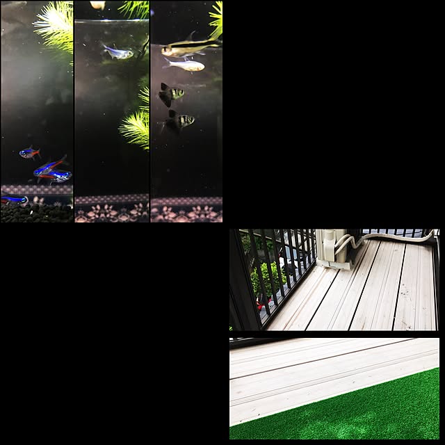 kouta_Co.さんの実例写真