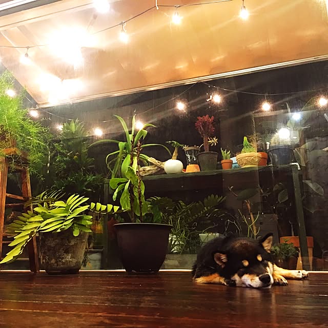 ananya___さんの部屋