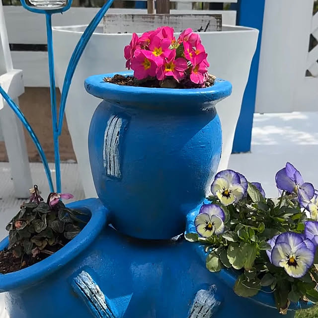 Megumiさんの部屋