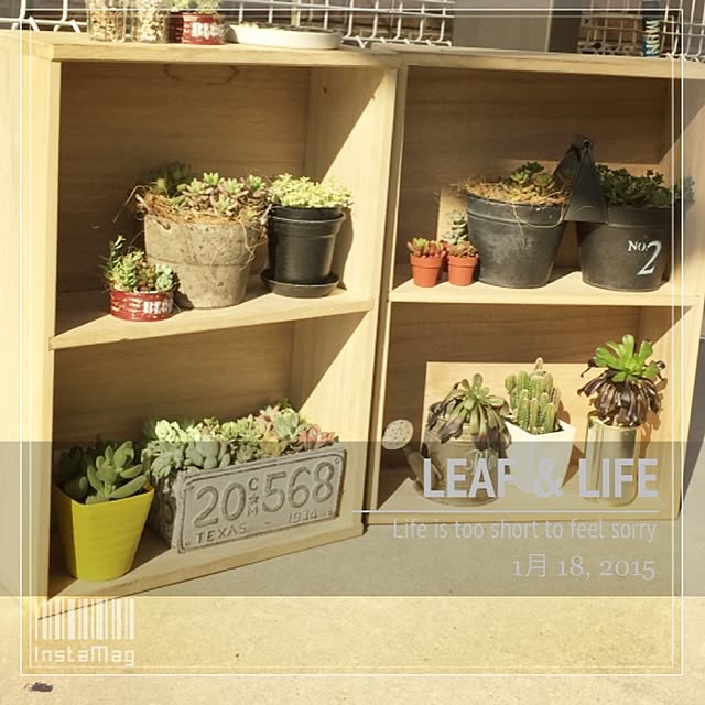 Good.smileさんの実例写真