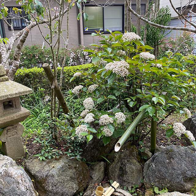 実例写真