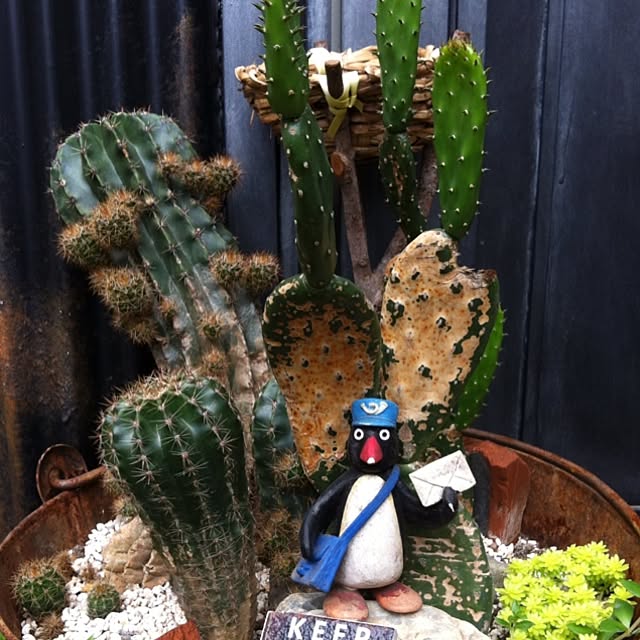 Mooさんの実例写真