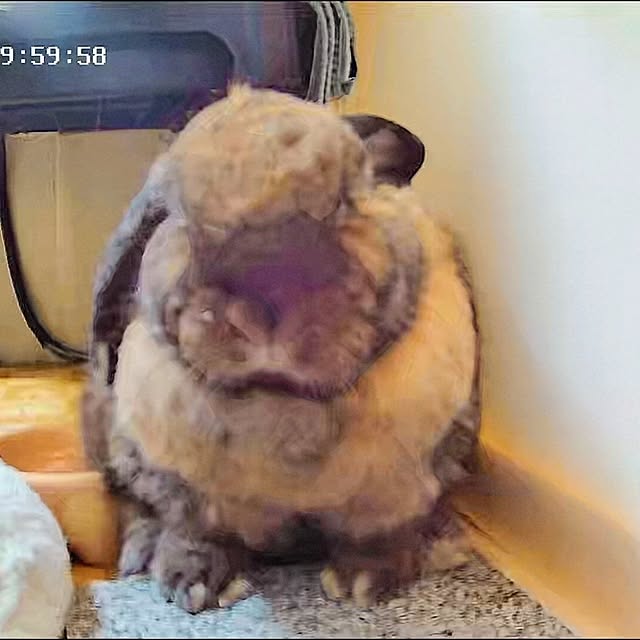mariaさんの部屋