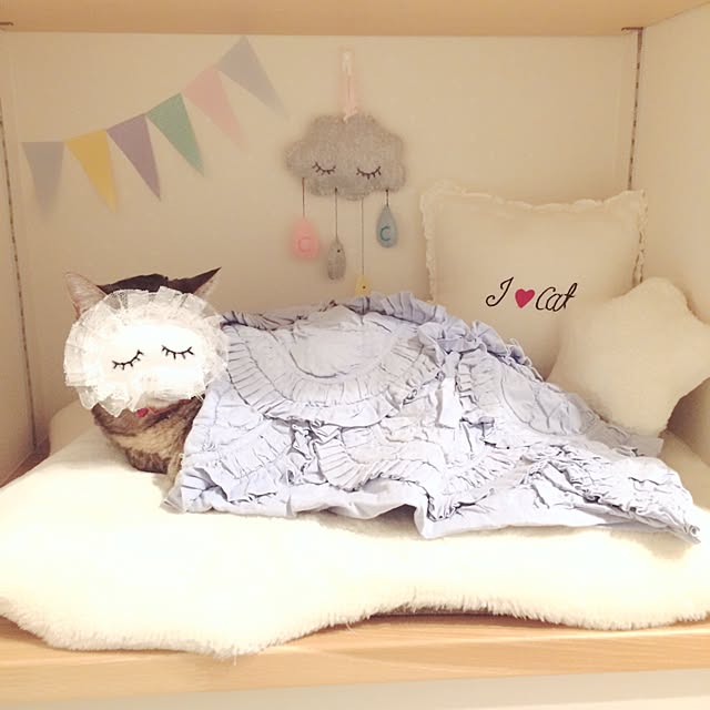 lovecatさんの実例写真