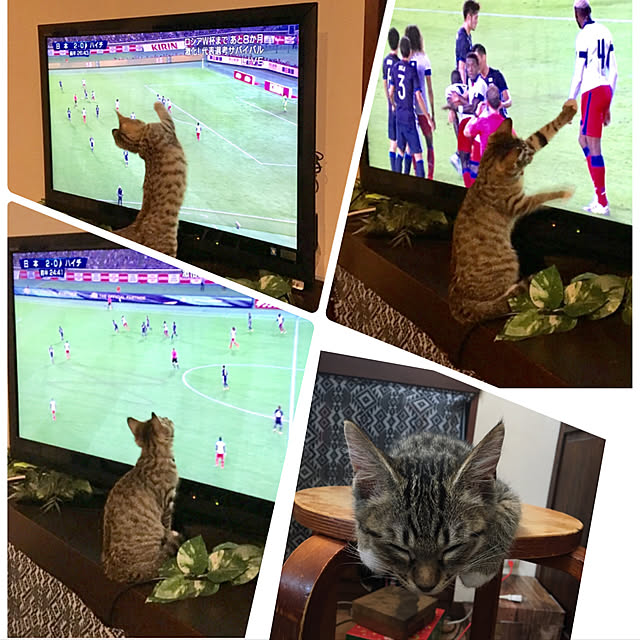 shigimiさんの実例写真