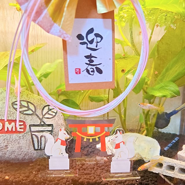 tamiさんの部屋