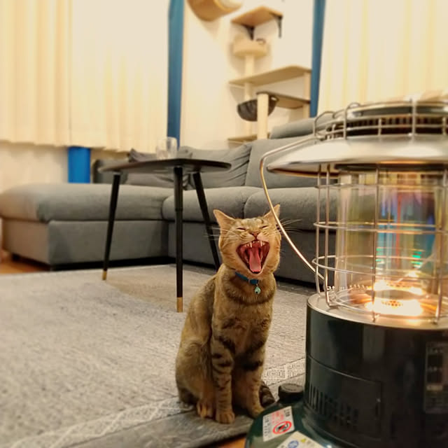 mochicoさんの実例写真