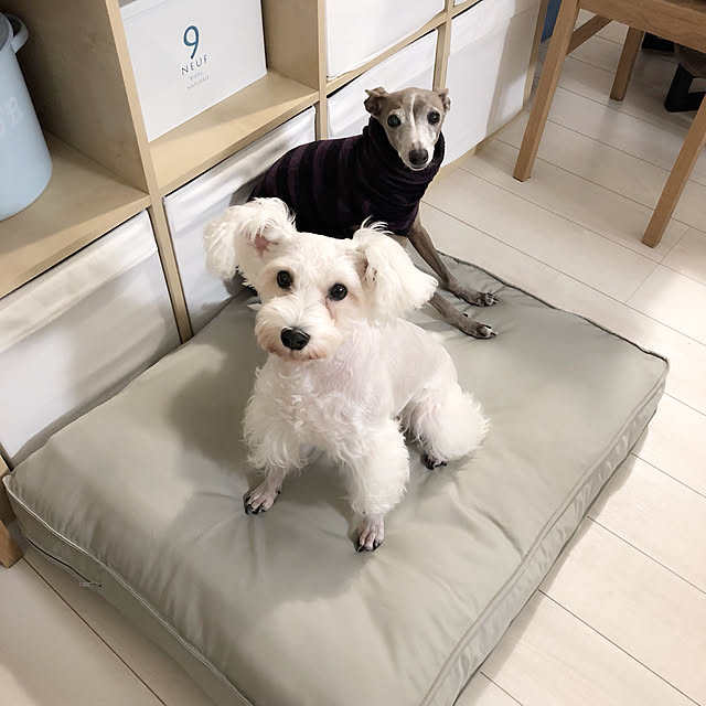 suzyさんの実例写真