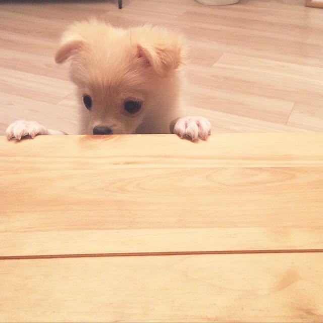 revo_youさんの実例写真