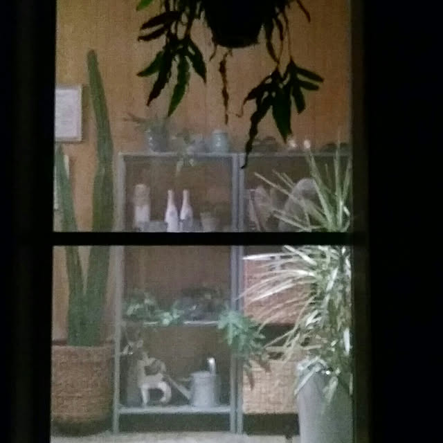 hira_muji_mihiさんの実例写真