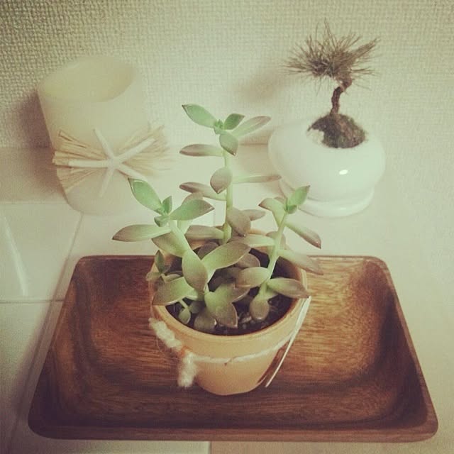 akaさんの実例写真