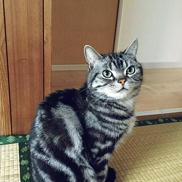richanさんの実例写真