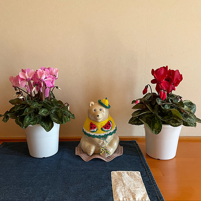 kakoさんの実例写真