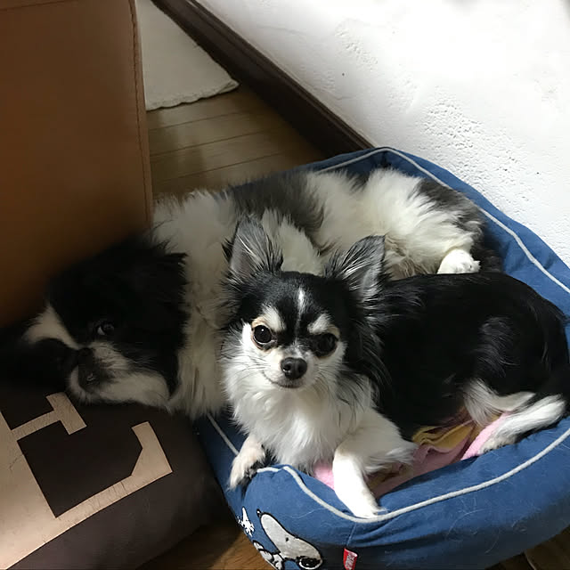 rinaさんの実例写真