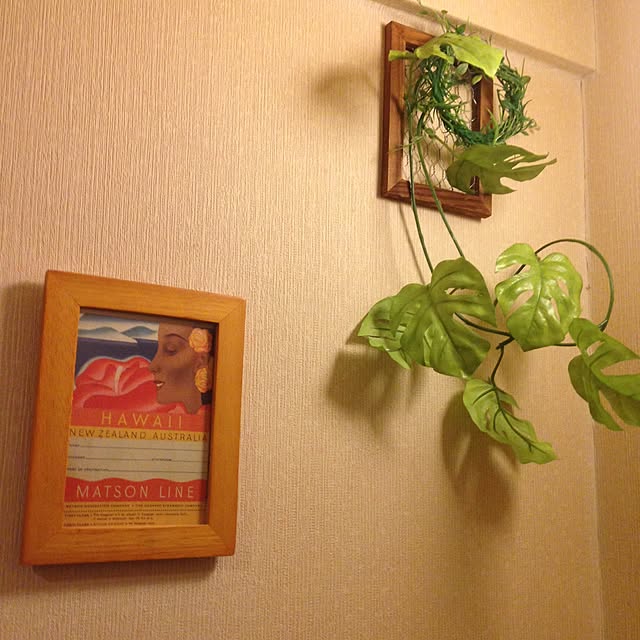 kojikojiさんの実例写真