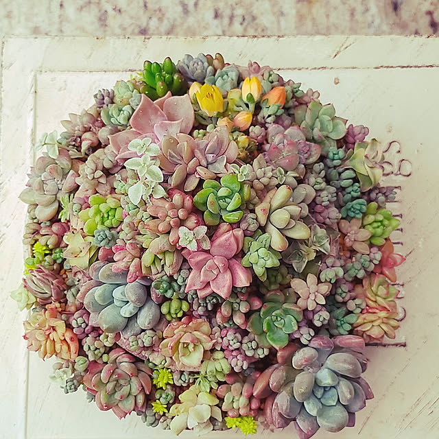 hilltopgardenさんの実例写真