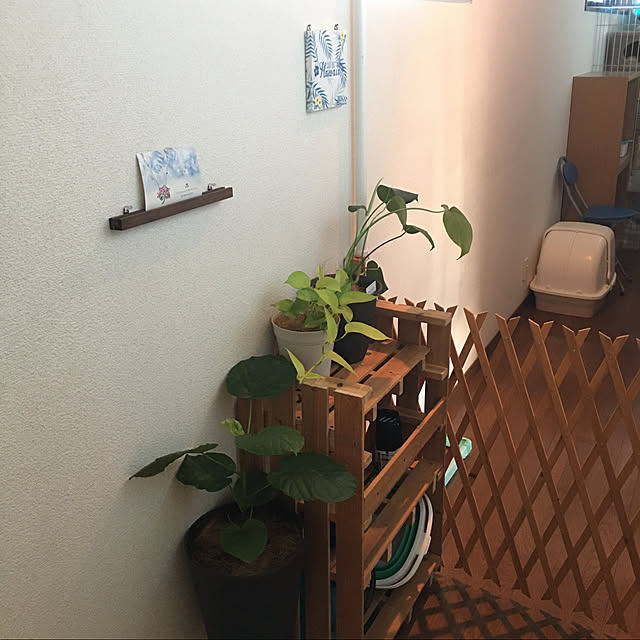 ayuさんの実例写真