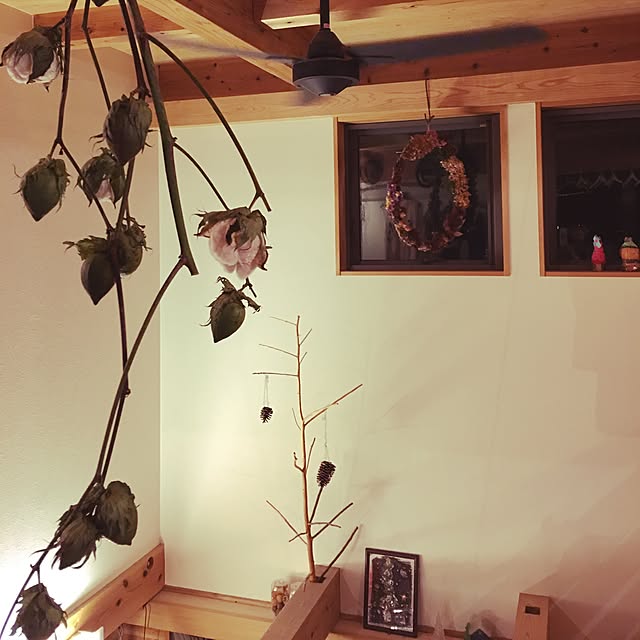kozakura10さんの実例写真