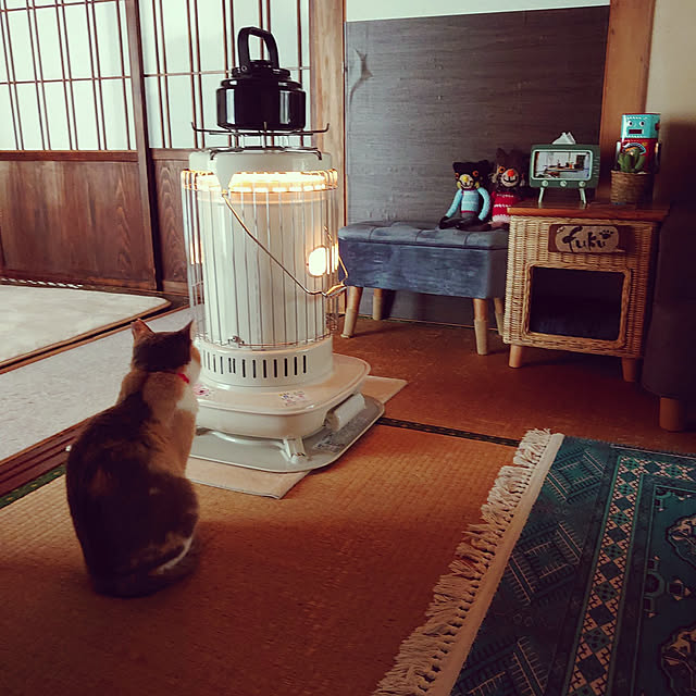 fukuさんの実例写真