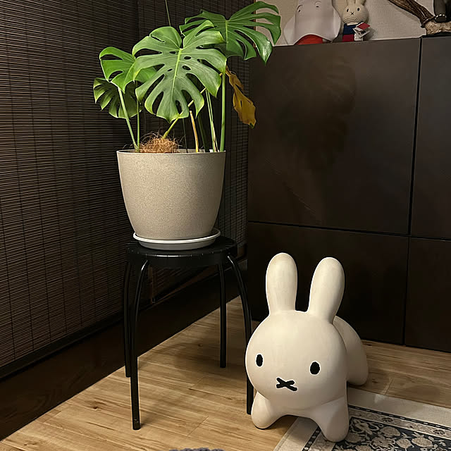 dodyさんの実例写真