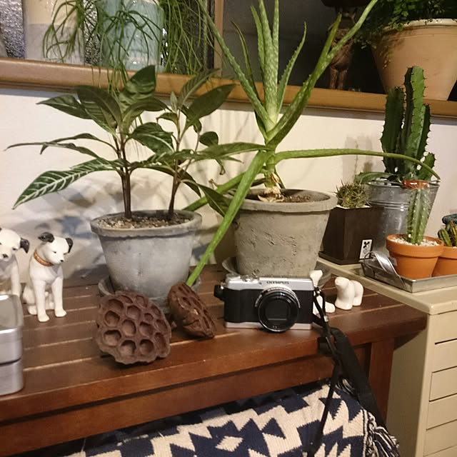 mizuさんの実例写真