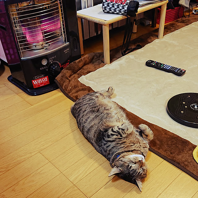 Yumieさんの実例写真