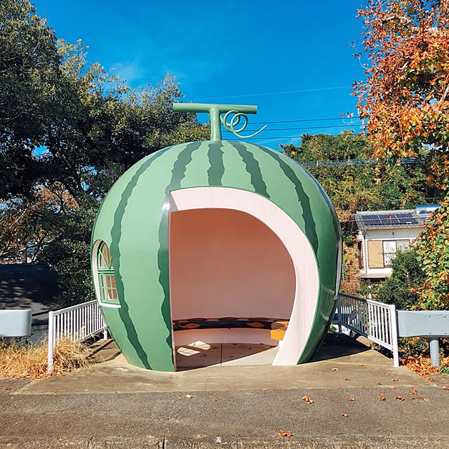 実例写真