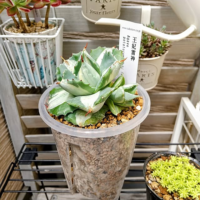 meiさんの実例写真