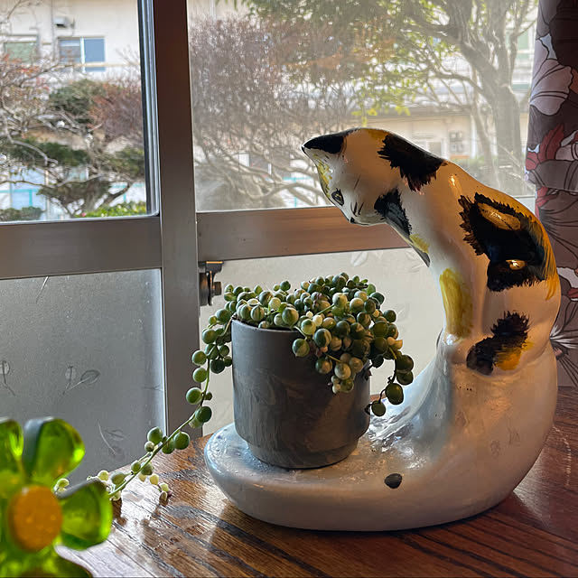 shin0719さんの実例写真