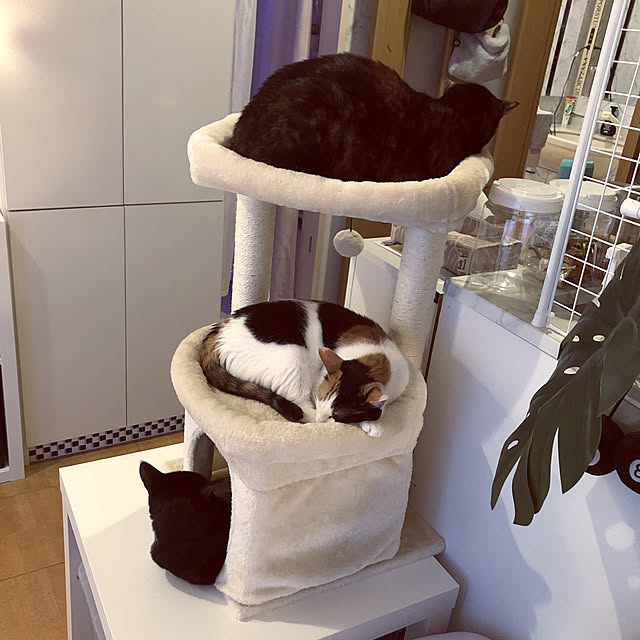kanaさんの実例写真