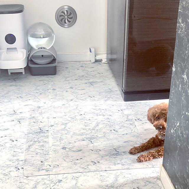 MOMOMAMAさんの実例写真