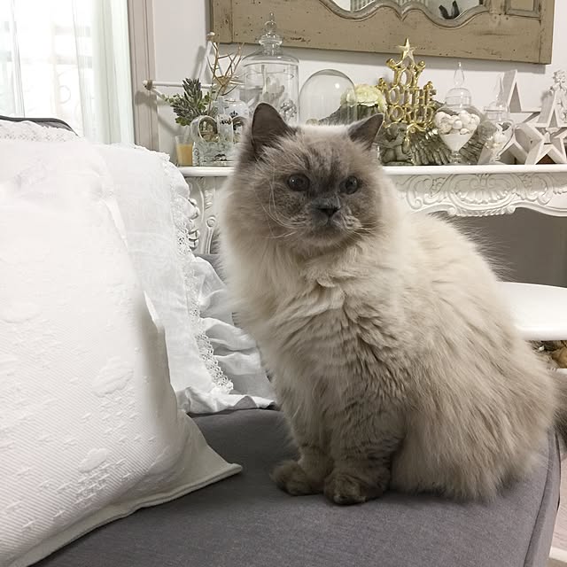 yuchiさんの実例写真