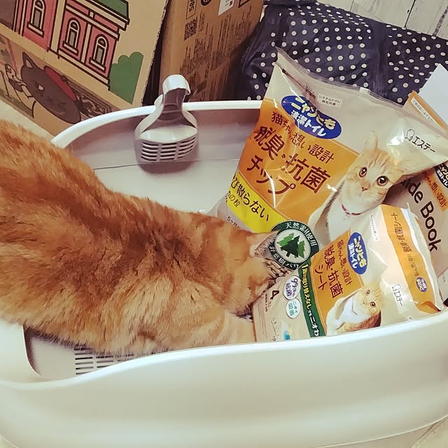 runaさんの実例写真