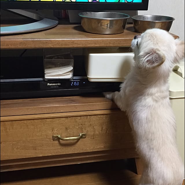 CHIZUさんの実例写真