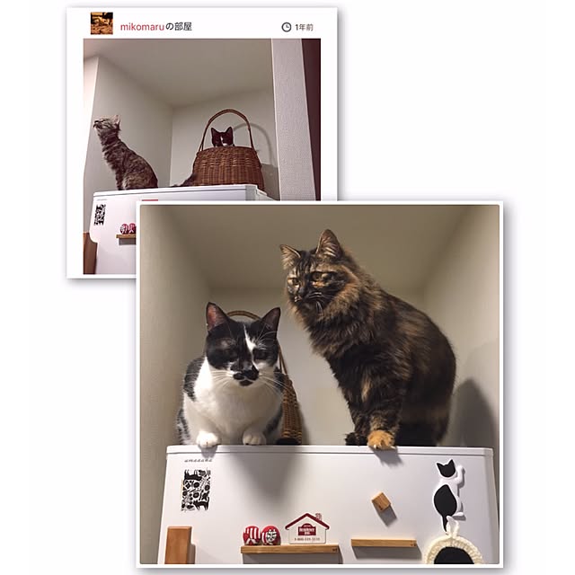 mikomaruさんの実例写真