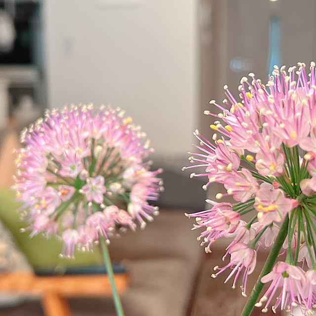 ponme33さんの部屋