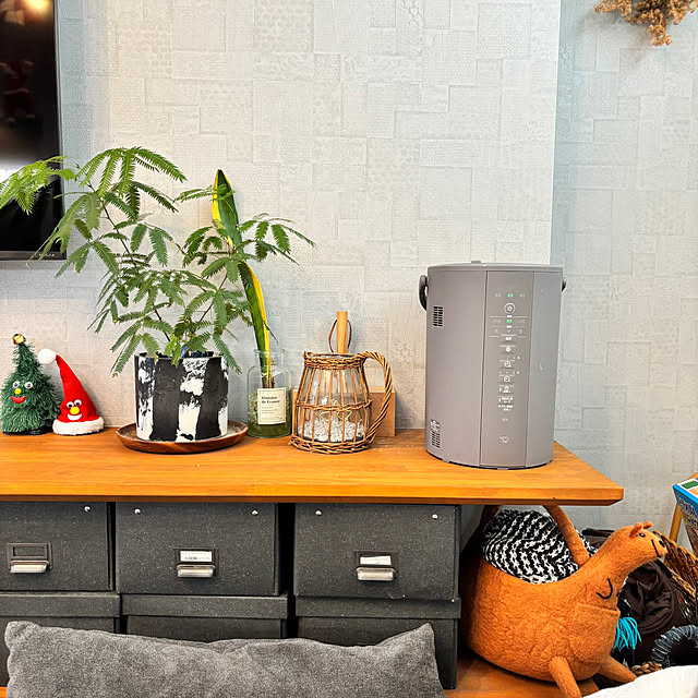 Minteaさんの部屋